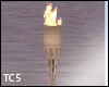 Animated torch