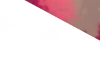 bloomshy cutout