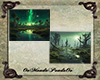 Swamps