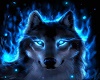 Her Alpha Wolf Pic