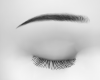 M' Curved Eyes