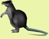 Animated Running Rat