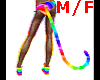 Rainbow  Cat Tail M/F
