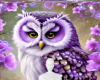 Purple owl background