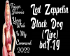 LZ-Black Dog Live