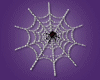 Halloween Spooky Spider