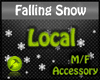 Falling Snow Personal F
