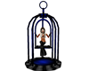 BR Cage Swing