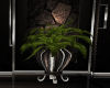 Waterfall Plant