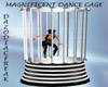 Magnificent Dance Cage