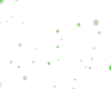 Fireflies Colony 