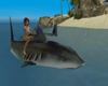 cool animated shark ride