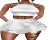 Silver Skirt  Full Fit
