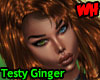 Testy Ginger