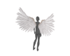 MI  Angel White Wings
