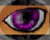 [BG] Pink/Purple Eyes