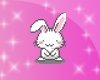 o3o | bunny bunny !