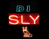 Dj Sly lights