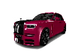 RRPM 10
