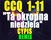 TaOkropnaNiedziela-CYPIS