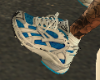 Blue/white Runners