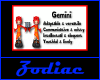`Zodiac Gemini Sticker