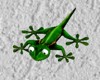 Lagarto Gecko lizard