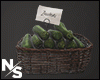 Zucchini