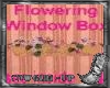 Flowering Window Box