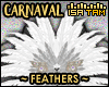 !T Carnaval Feathers