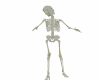 A Different Skeleton