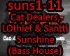 CatDealersSanttiSunshine