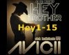 Avicii- Hey Brother