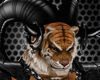 Tiger Warrior Bundle Gld