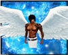 angels hesh