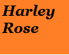 Harley Rose 