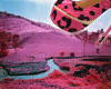 ✌ Pink Leopard 