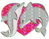 a pink heart dolphin