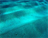 Ocean Floor Picture