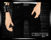 [c] Black Skinny Jeans