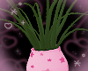 ! pink plant pot <3