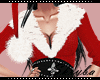 Santa Outfit DRV