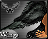 [Aluci] DarkC*Wings