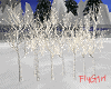 FG~ Winter Lighted Birch