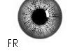 [FR] silver eye