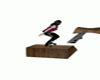 [LH] Skateboard Fun