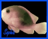 Aquarium Fish Rug