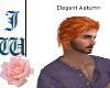 JW Elegant Autumn