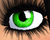 gorgeous green eyes