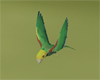 (20D) DYH Amazon parrot